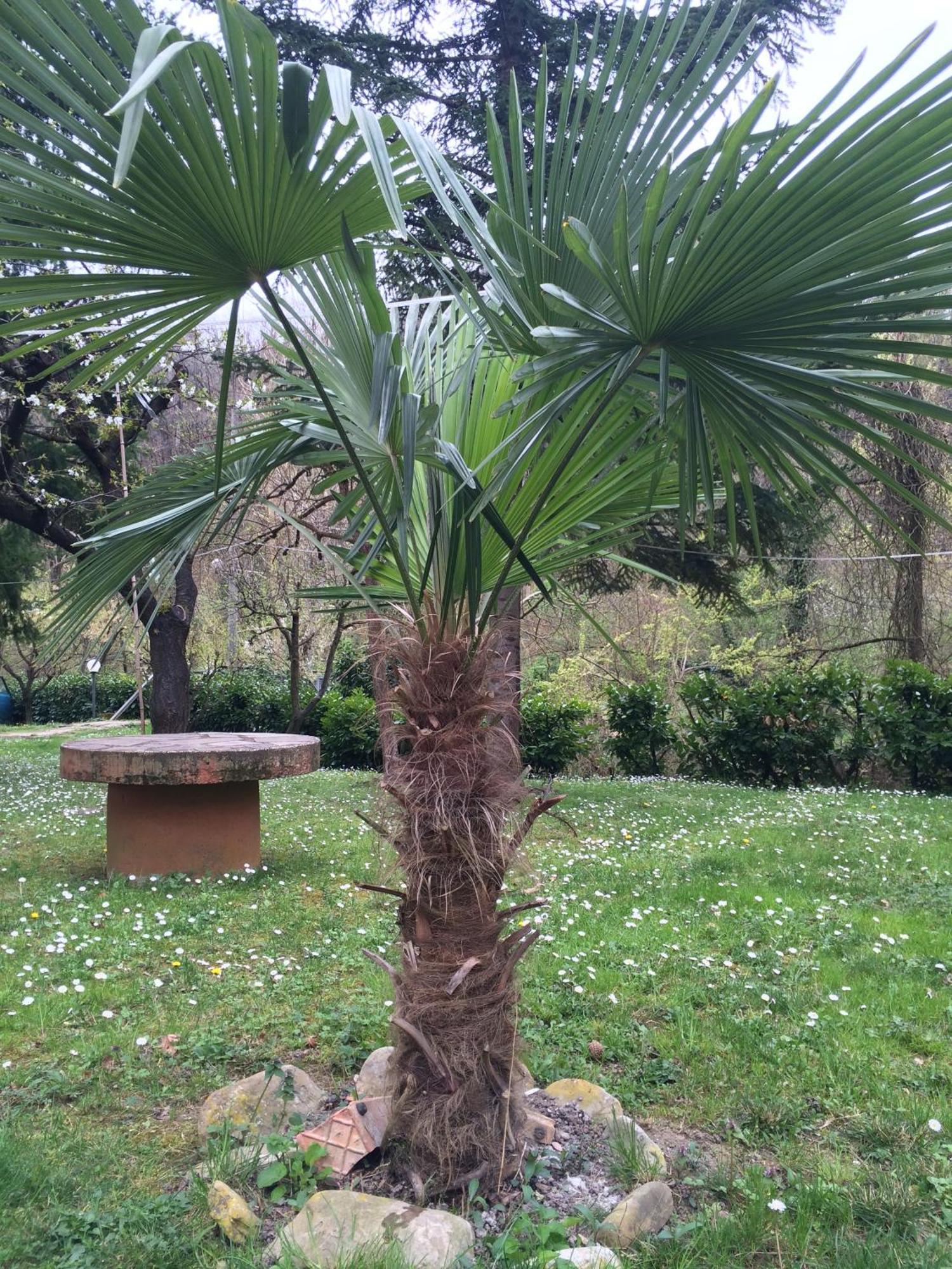Locanda Irene Monte San Pietro Εξωτερικό φωτογραφία